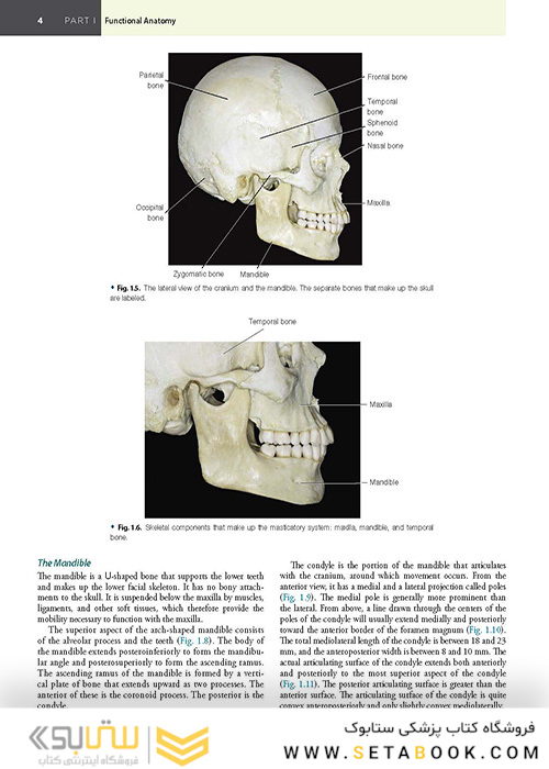 Management of Temporomandibular Disorders and Occlusion 2020
