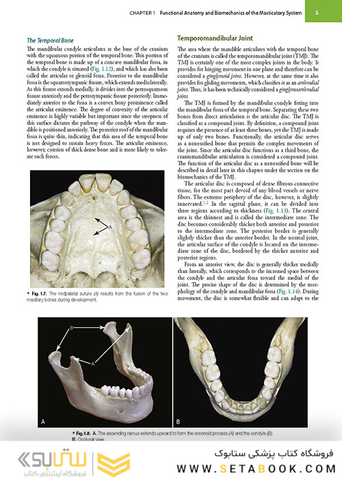 Management of Temporomandibular Disorders and Occlusion 2020