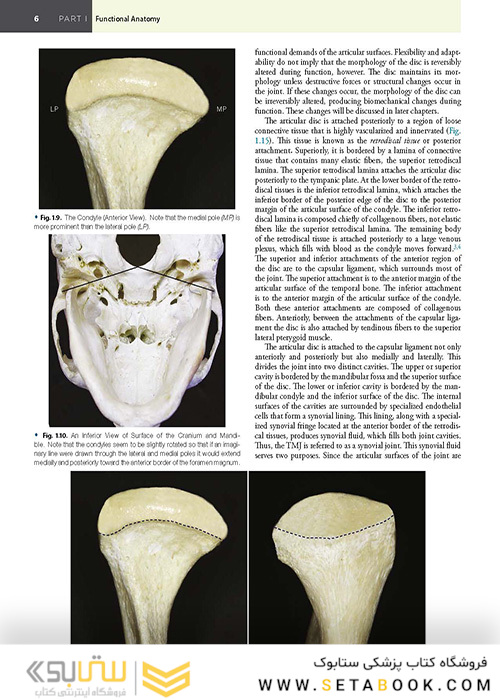 Management of Temporomandibular Disorders and Occlusion 2020