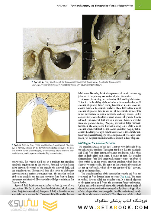 Management of Temporomandibular Disorders and Occlusion 2020