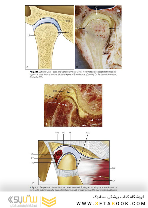 Management of Temporomandibular Disorders and Occlusion 2020