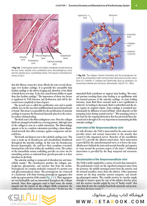 Management of Temporomandibular Disorders and Occlusion 2020