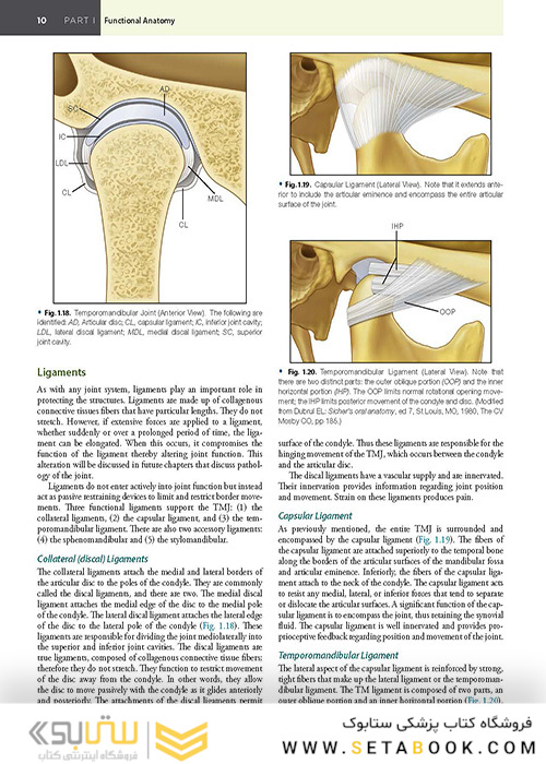 Management of Temporomandibular Disorders and Occlusion 2020