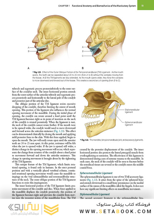 Management of Temporomandibular Disorders and Occlusion 2020