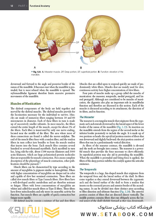 Management of Temporomandibular Disorders and Occlusion 2020
