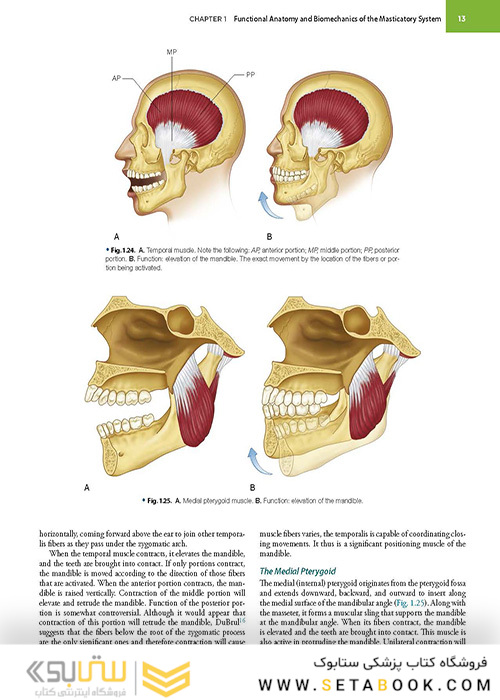 Management of Temporomandibular Disorders and Occlusion 2020