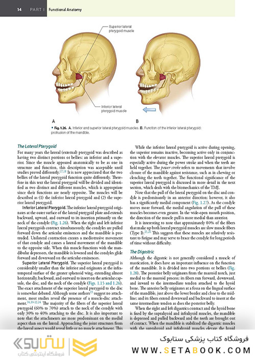 Management of Temporomandibular Disorders and Occlusion 2020