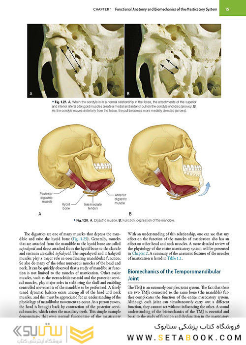 Management of Temporomandibular Disorders and Occlusion 2020