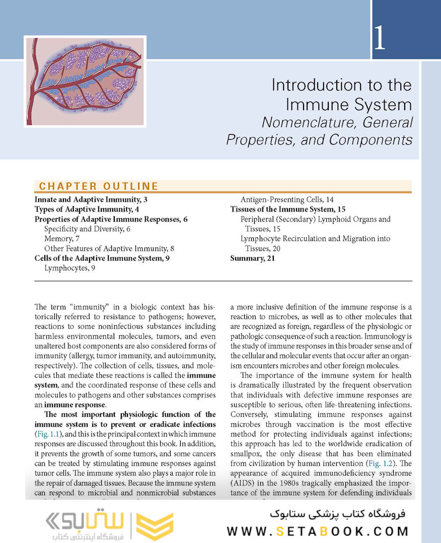 Basic Immunology: Functions and Disorders of the Immune System