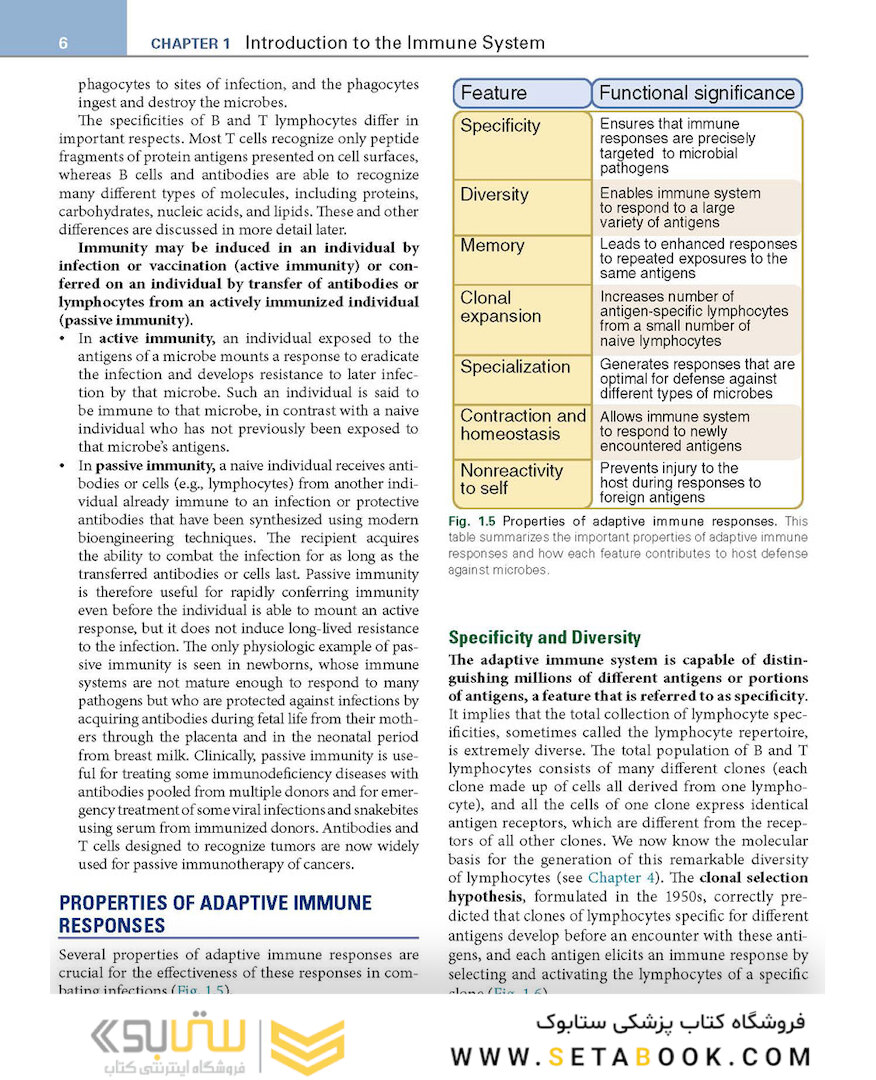 Basic Immunology: Functions and Disorders of the Immune System