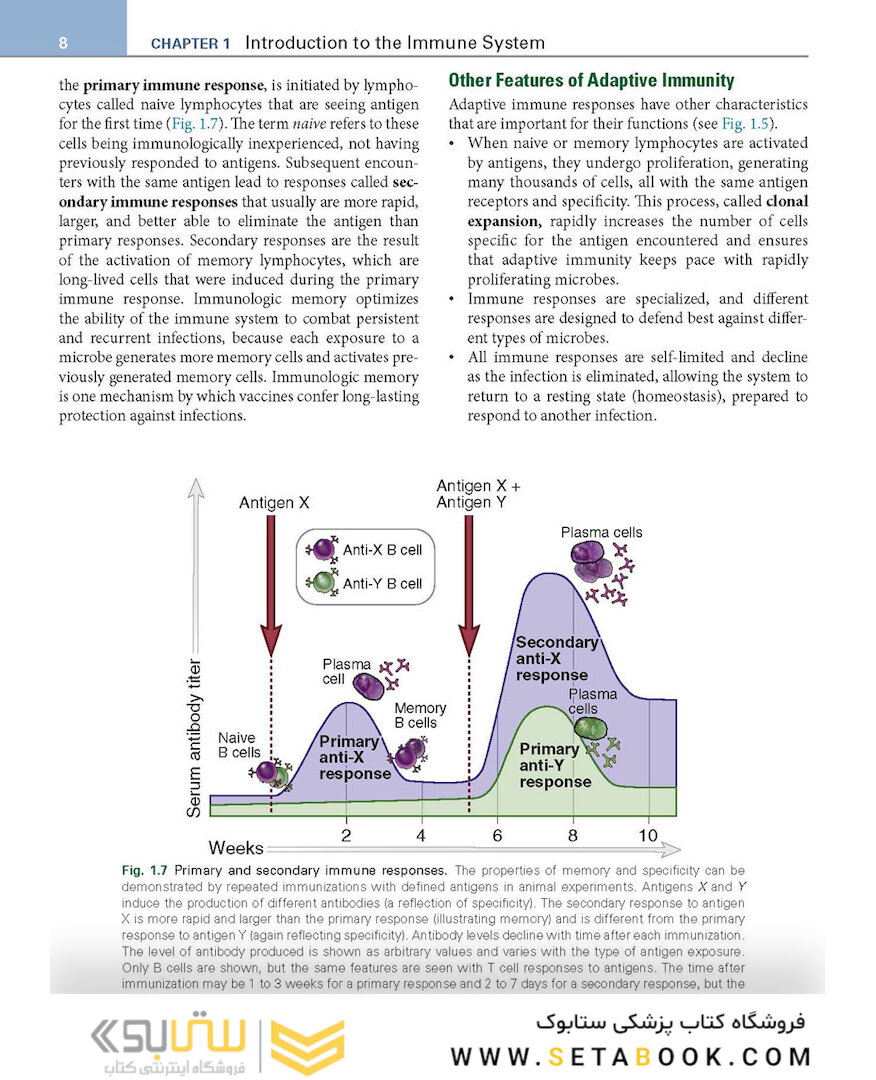 Basic Immunology: Functions and Disorders of the Immune System