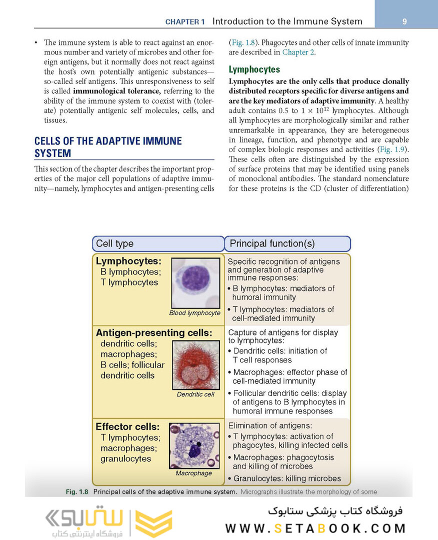 Basic Immunology: Functions and Disorders of the Immune System