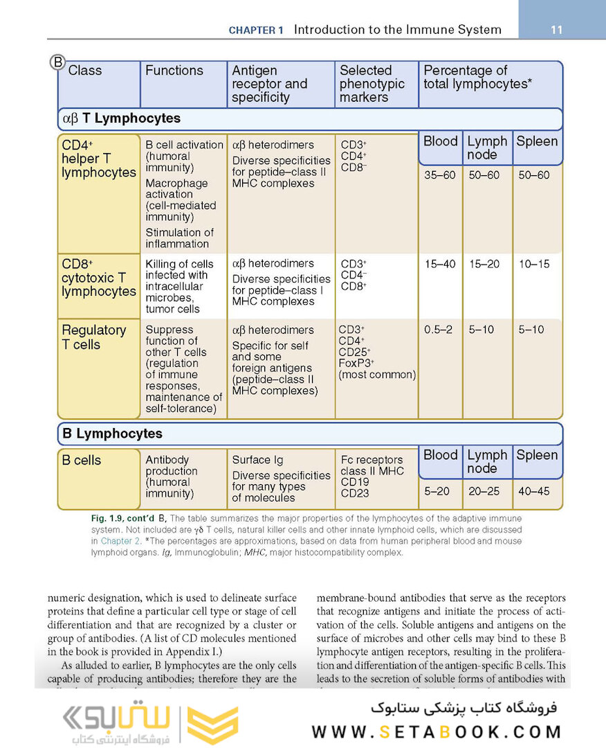 Basic Immunology: Functions and Disorders of the Immune System