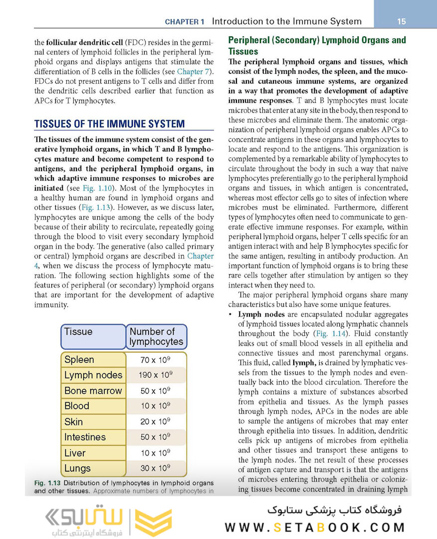 Basic Immunology: Functions and Disorders of the Immune System