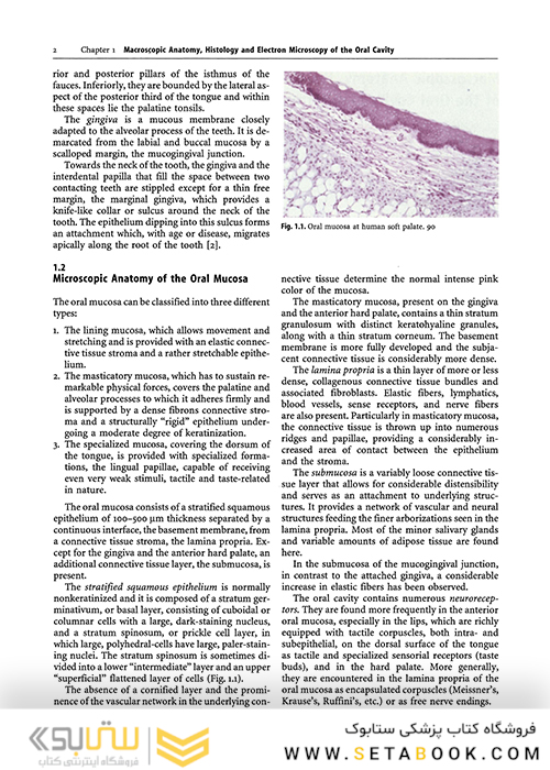 Oral Diseases : Textbook and Atlas