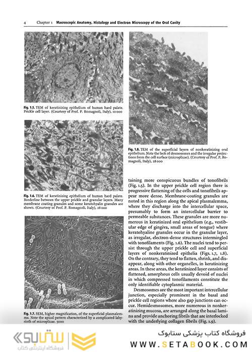 Oral Diseases : Textbook and Atlas