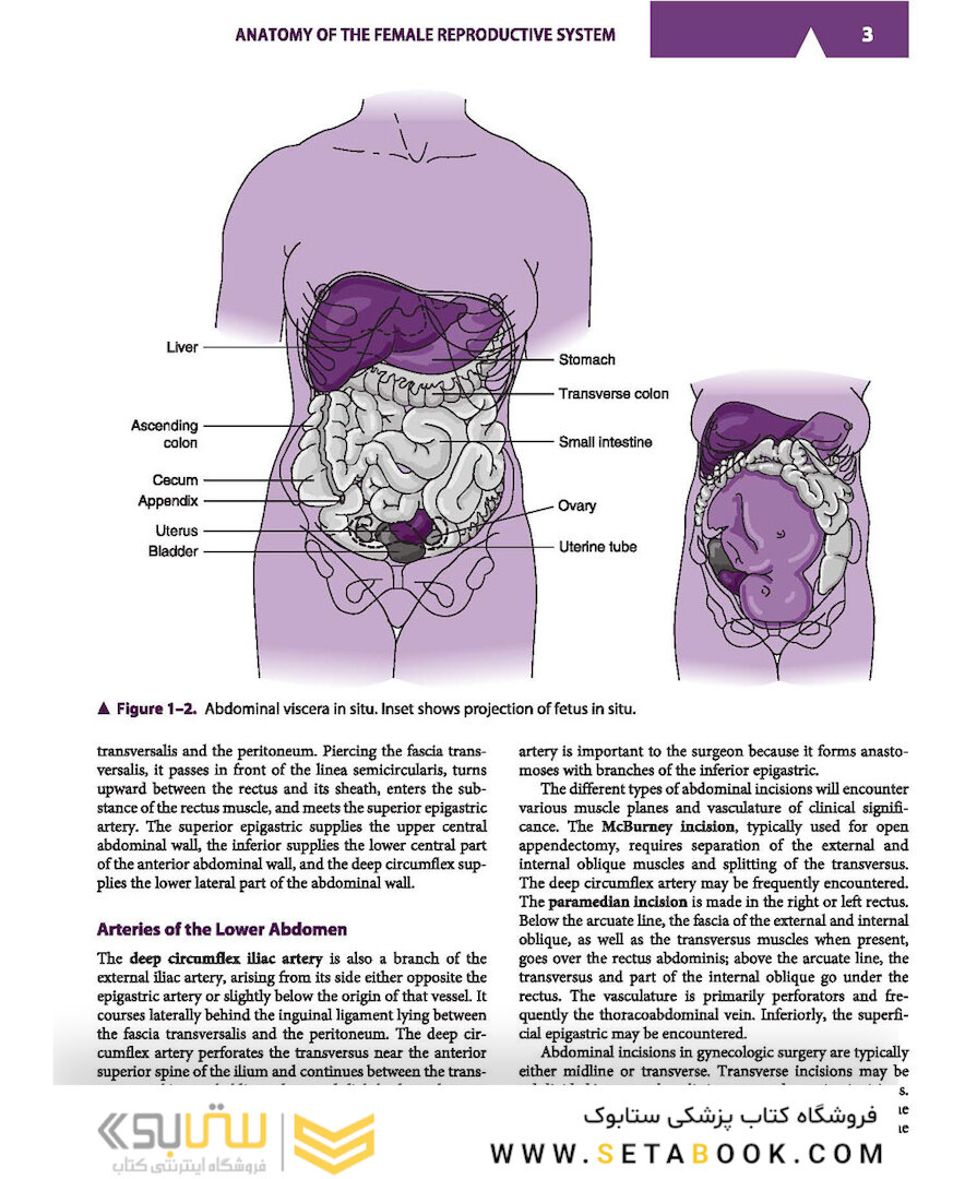 Current Diagnosis - Treatment Obstetrics - Gynecology 2019
