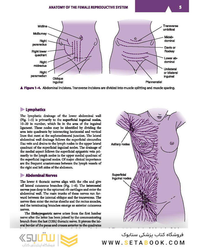 Current Diagnosis - Treatment Obstetrics - Gynecology 2019