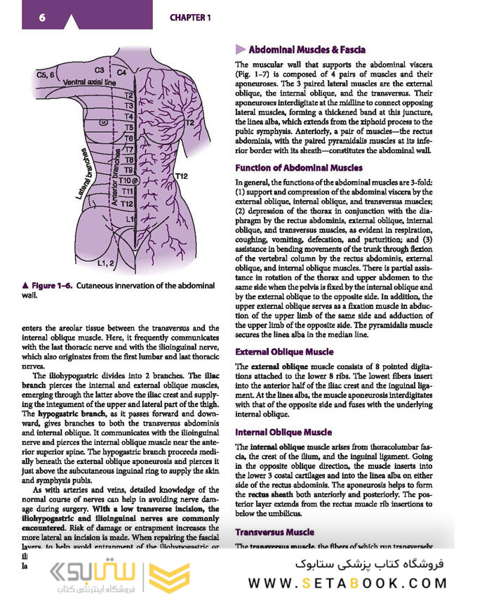 Current Diagnosis - Treatment Obstetrics - Gynecology 2019