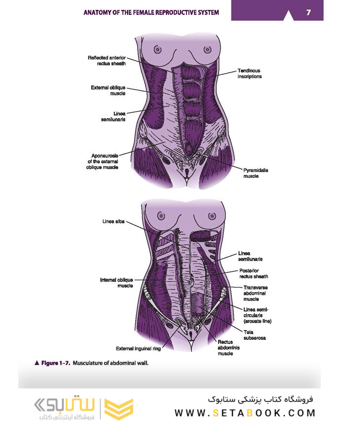Current Diagnosis - Treatment Obstetrics - Gynecology 2019