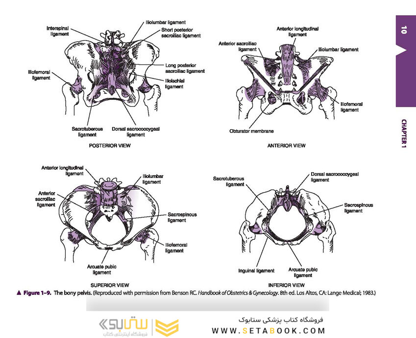 Current Diagnosis - Treatment Obstetrics - Gynecology 2019