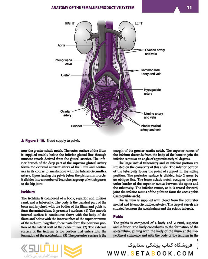 Current Diagnosis - Treatment Obstetrics - Gynecology 2019
