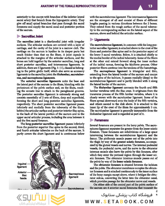 Current Diagnosis - Treatment Obstetrics - Gynecology 2019