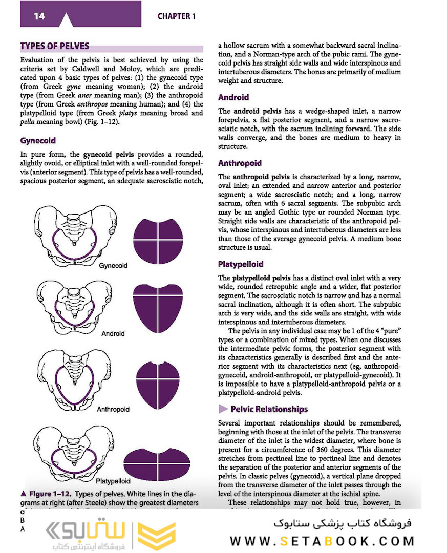 Current Diagnosis - Treatment Obstetrics - Gynecology 2019