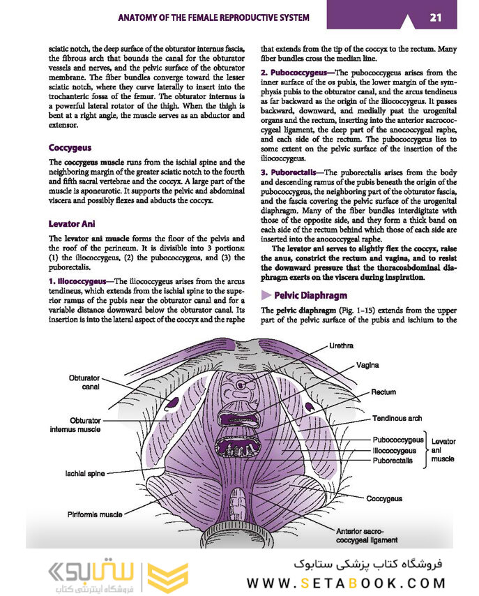 Current Diagnosis - Treatment Obstetrics - Gynecology 2019