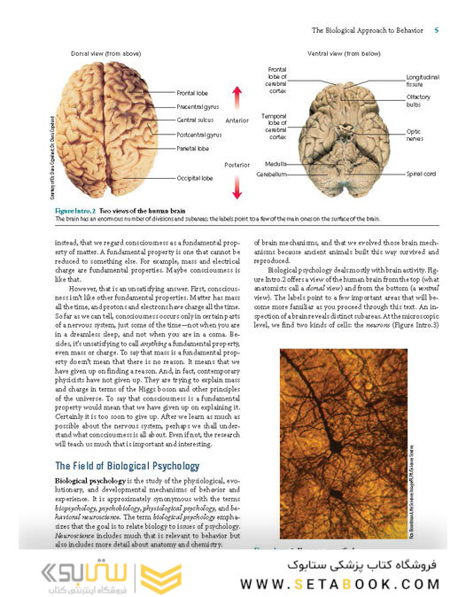 Biological Psychology 2019