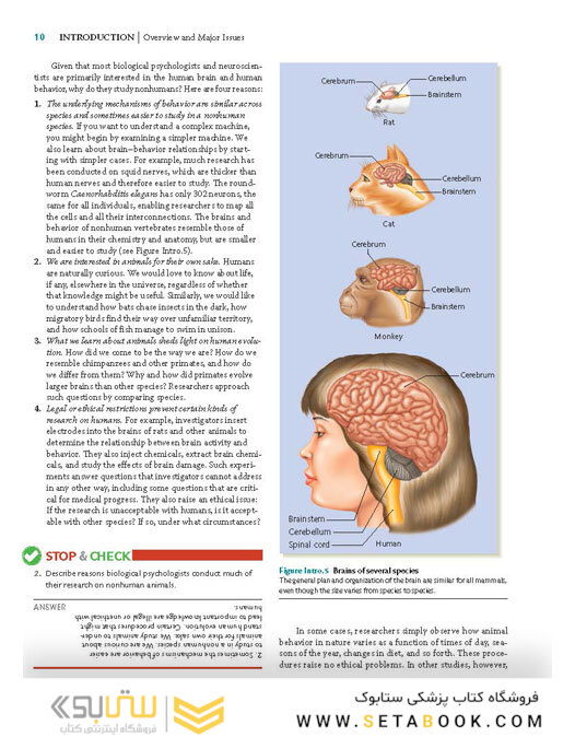 Biological Psychology 2019