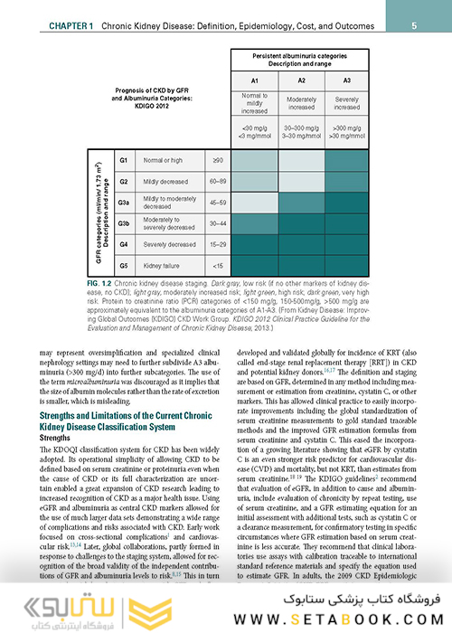 Chronic Kidney Disease, Dialysis, and Transplantation