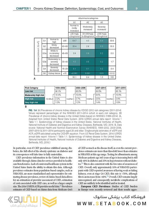 Chronic Kidney Disease, Dialysis, and Transplantation