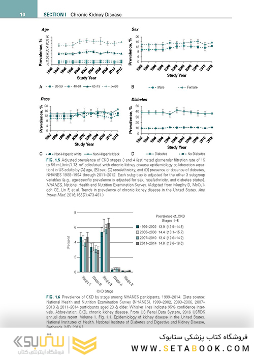 Chronic Kidney Disease, Dialysis, and Transplantation