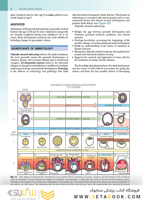 The Developing Human: Clinically Oriented Embryology 2019