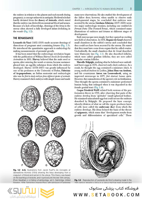 The Developing Human: Clinically Oriented Embryology 2019
