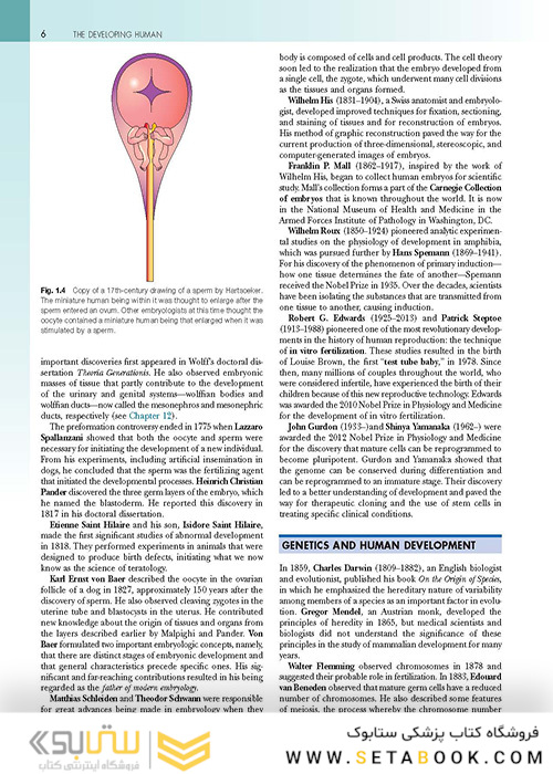 The Developing Human: Clinically Oriented Embryology 2019