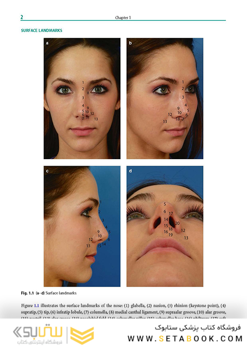 Rhinoplasty: An Anatomical and Clinical Atlas 1st ed Edition 2018