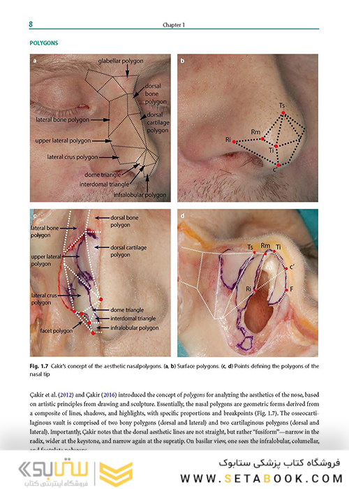 Rhinoplasty: An Anatomical and Clinical Atlas 1st ed Edition 2018