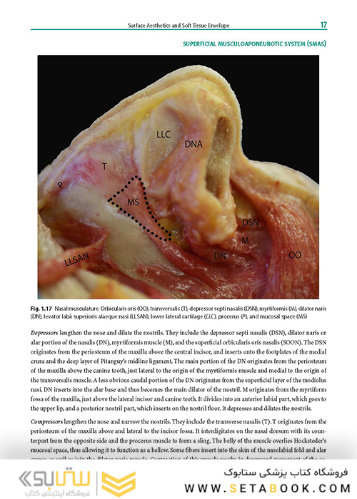 Rhinoplasty: An Anatomical and Clinical Atlas 1st ed Edition 2018