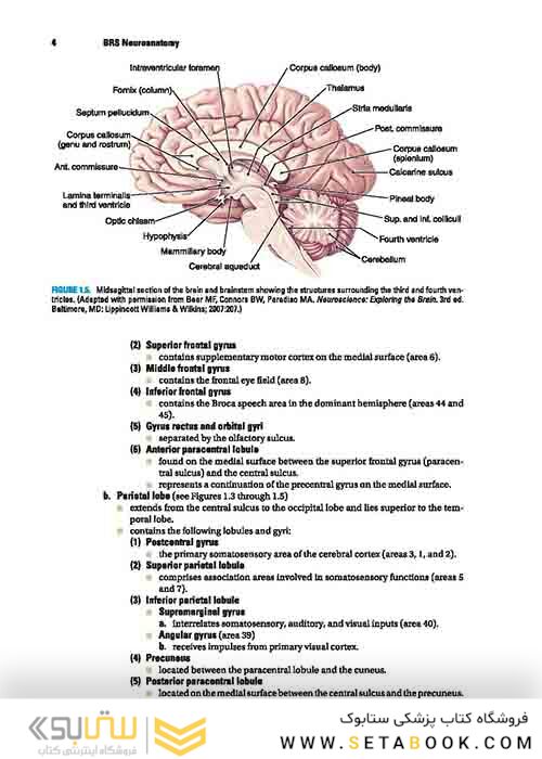BRS Neuroanatomy (Board Review Series) Sixth Edition 2020 نوروآناتومی ویرایش ششم