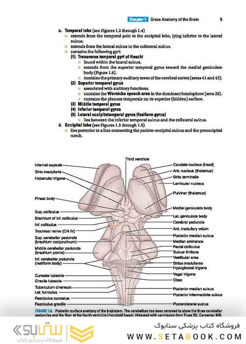 BRS Neuroanatomy (Board Review Series) Sixth Edition 2020 نوروآناتومی ویرایش ششم