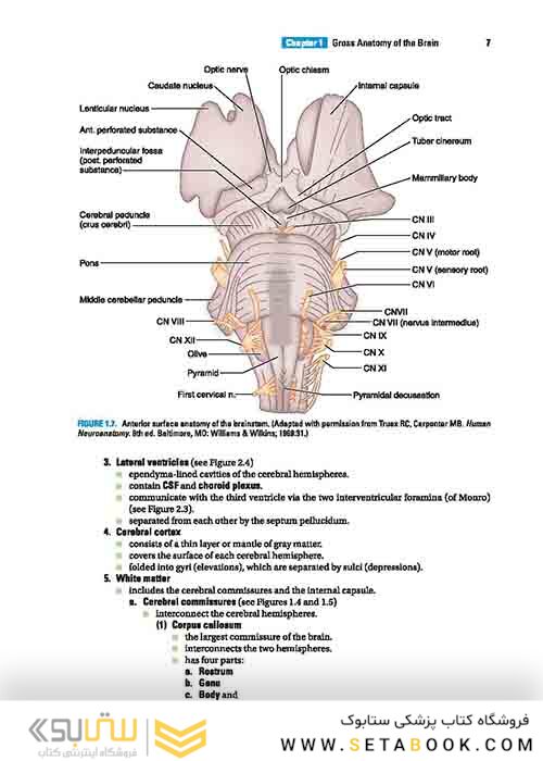 BRS Neuroanatomy (Board Review Series) Sixth Edition 2020 نوروآناتومی ویرایش ششم