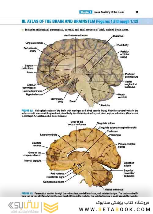 BRS Neuroanatomy (Board Review Series) Sixth Edition 2020 نوروآناتومی ویرایش ششم