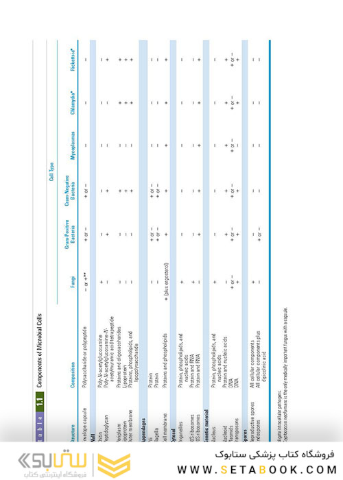 BRS  Microbiology and Immunology (Board Review Series) Sixth Edition