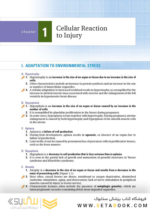 BRS Pathology (Board Review Series) Fifth, North American Edition