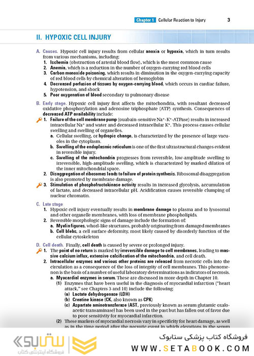 BRS Pathology (Board Review Series) Fifth, North American Edition