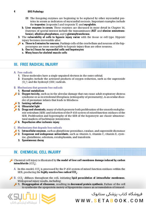 BRS Pathology (Board Review Series) Fifth, North American Edition