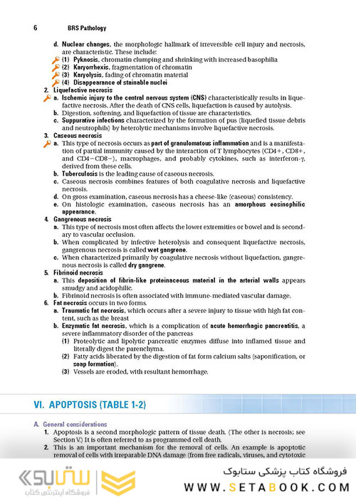 BRS Pathology (Board Review Series) Fifth, North American Edition