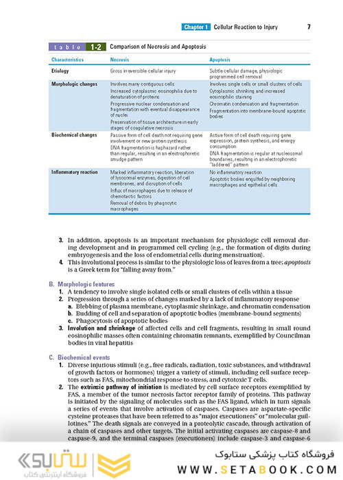 BRS Pathology (Board Review Series) Fifth, North American Edition